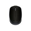 Беспроводная мышь Logitech M172, фото 1