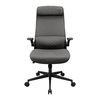 Gaming Chair Cougar Stryder Gray, фото 1
