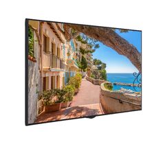 Proffessional Display Standalone QBC 65, фото 1