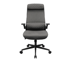 Gaming Chair Cougar Stryder Gray, фото 1