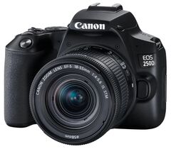 Фотоаппарат Canon EOS 250D 18-55mm STM Wifi, фото 1