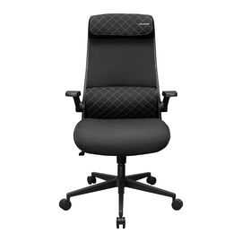Gaming Chair Cougar Stryder, фото 1