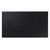 Proffessional Display Standalone QBC 43, фото 3