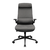 Gaming Chair Cougar Stryder Gray, фото 1 Gaming Chair Cougar Stryder Gray, фото 1