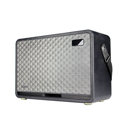 Портативная акустика Microlab KTV200PRO black, фото 3
