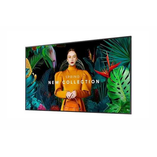 Proffessional Display Standalone QBC 43, фото 2