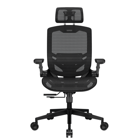 Gaming Chair Cougar Speeder One, фото 1
