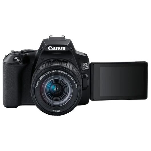 Фотоаппарат Canon EOS 250D 18-55mm STM Wifi, фото 2